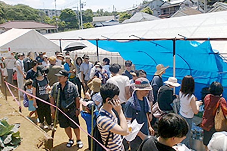 川崎市内生産者小泉農園フェス