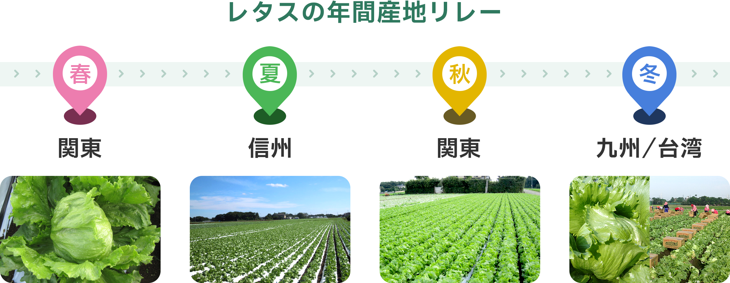 レタスの年間産地リレー