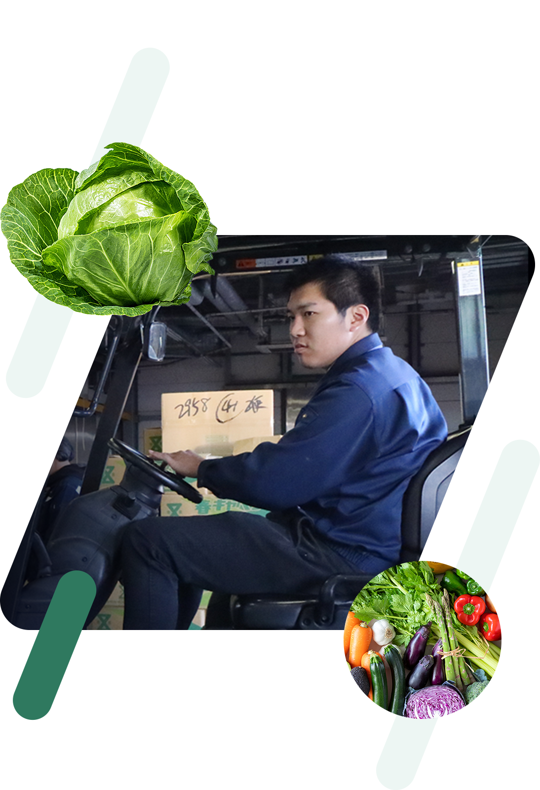採用情報