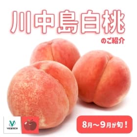 川中島白桃