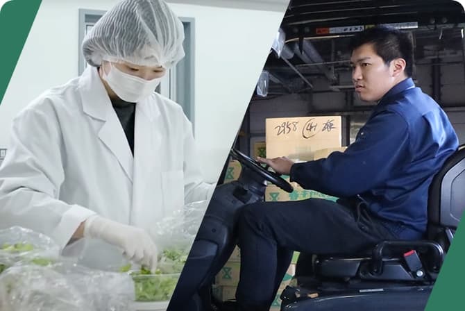 採用情報