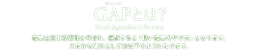 GAP ギャップ とは？　Good Agricultural Practice　農業生産工程管理と呼ばれ、直訳すると「良い農業のやり方」となります。大まかな流れとしては以下のようになります。